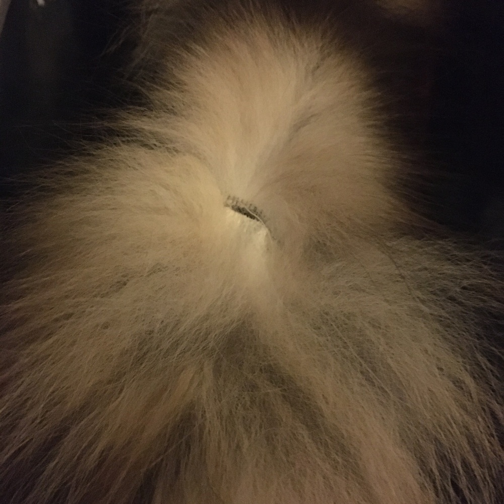 Fur jacket - Picture 6 of 7